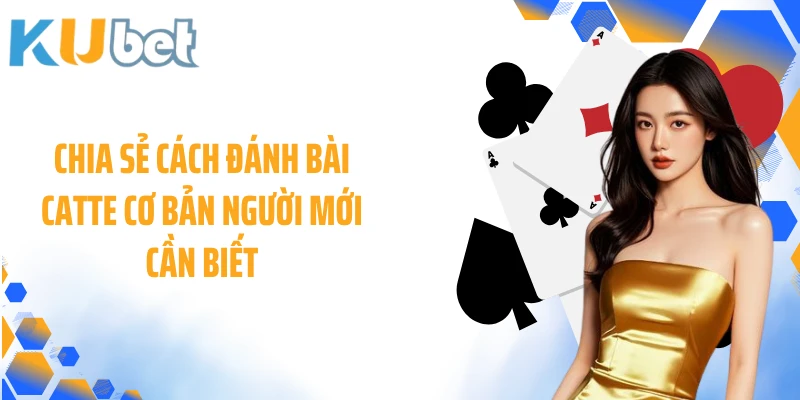 Chia sẻ cách đánh bài Catte cơ bản người mới cần biết