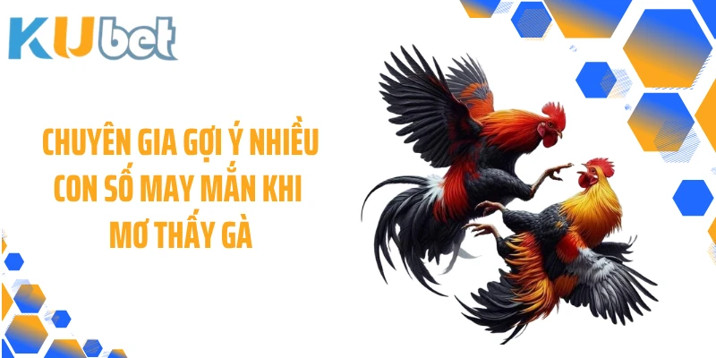 Chuyên gia gợi ý nhiều con số may mắn khi mơ thấy gà