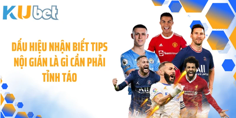 Dấu hiệu nhận biết Tips nội gián là gì cần phải tỉnh táo