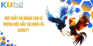 Mơ Thấy Gà Đánh Con Gì Trúng Độc Đắc Tại Nhà Cái KUBET?
