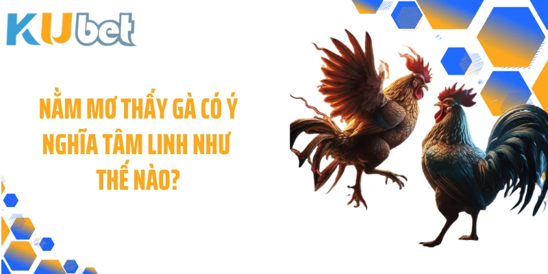 Nằm mơ thấy gà có ý nghĩa tâm linh như thế nào?