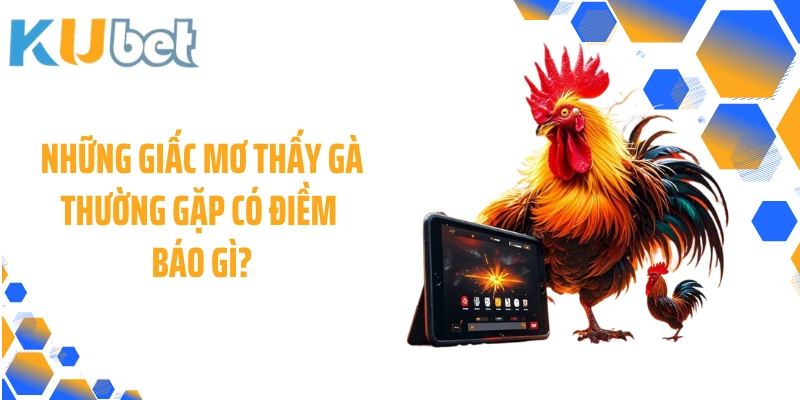 Những giấc mơ thấy gà thường gặp có điềm báo gì?