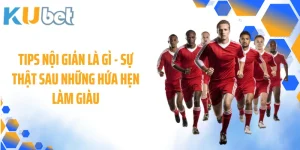 Tips Nội Gián Là Gì - Sự Thật Sau Những Hứa Hẹn Làm Giàu 