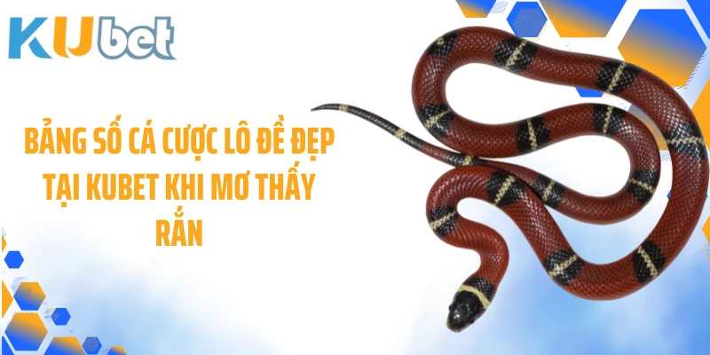 Bảng số cá cược lô đề đẹp tại Kubet khi mơ thấy rắn