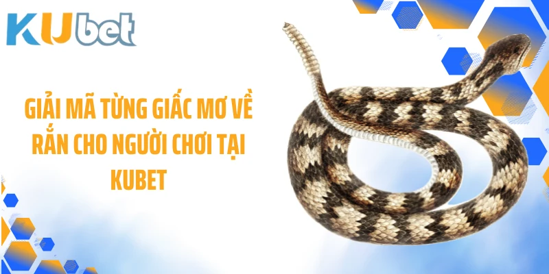 Giải mã từng giấc mơ về rắn cho người chơi tại Kubet