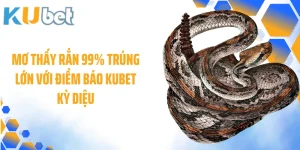 Mơ Thấy Rắn 99% Trúng Lớn Với Điềm Báo Kubet Kỳ Diệu