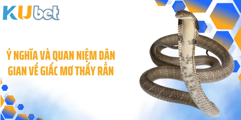 Ý nghĩa và quan niệm dân gian về giấc mơ thấy rắn